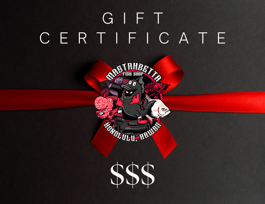MastahBetta Digital Gift Card