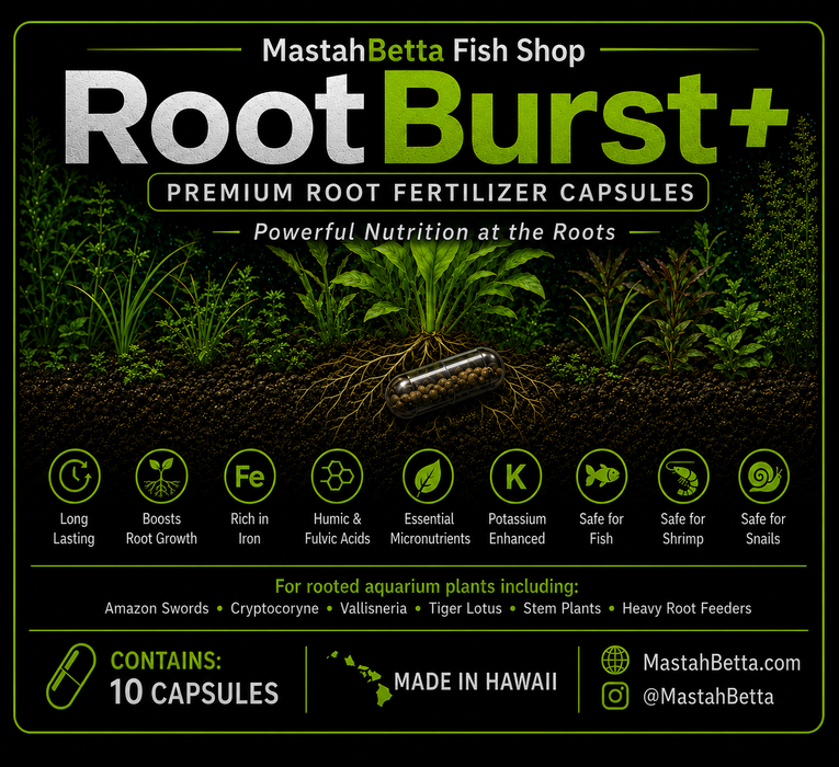 RootBurst+