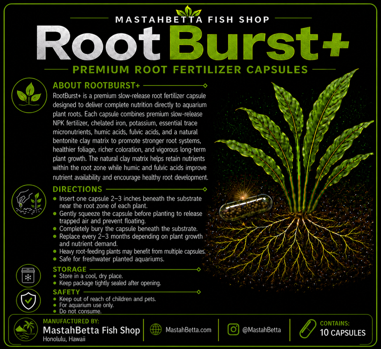 RootBurst+