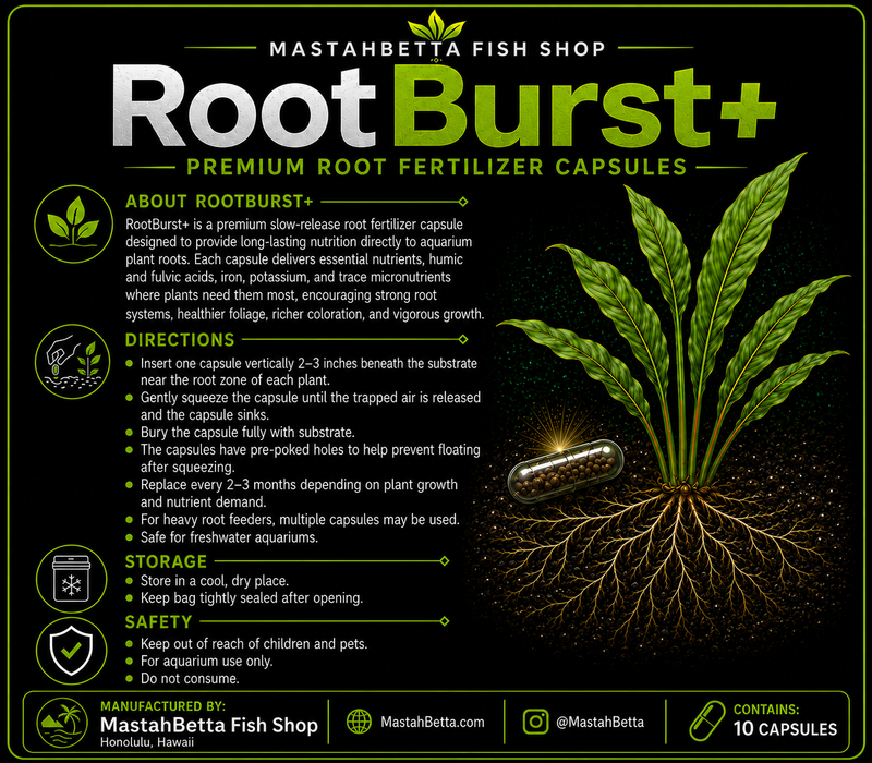RootBurst+