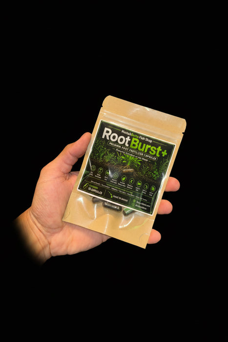 RootBurst+