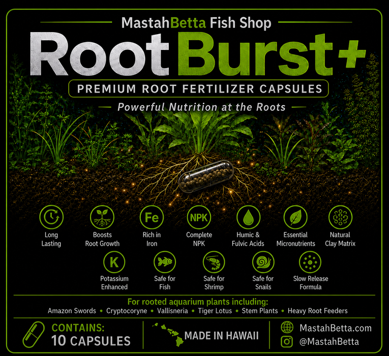 RootBurst+