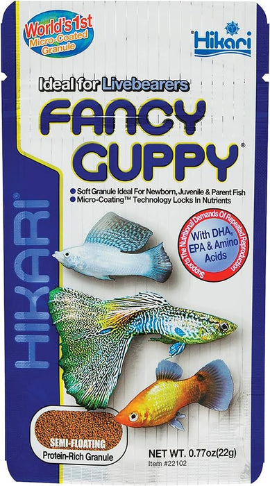 Hikari Fancy Guppy