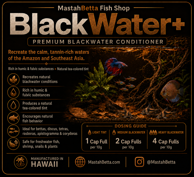 BlackWater+