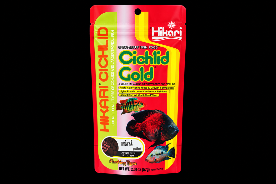 Hikari Cichlid Gold