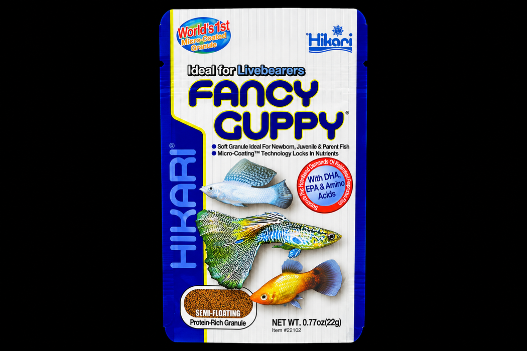Hikari Fancy Guppy