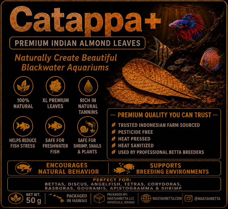 Catappa+