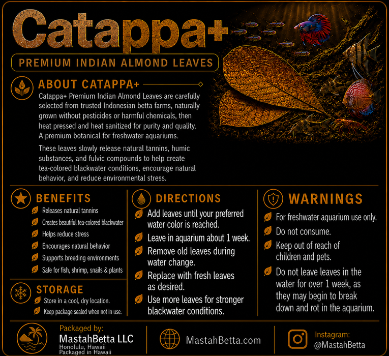 Catappa+