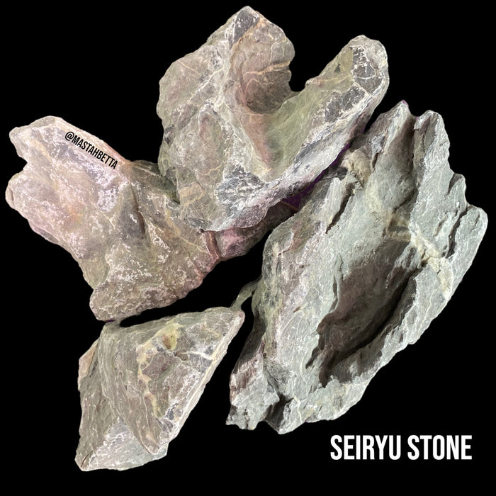 Seiryu Stone