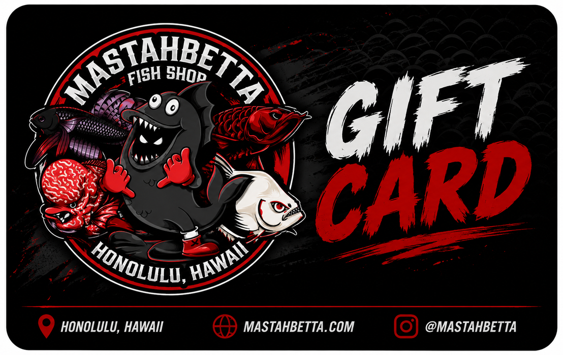 MastahBetta Digital Gift Card