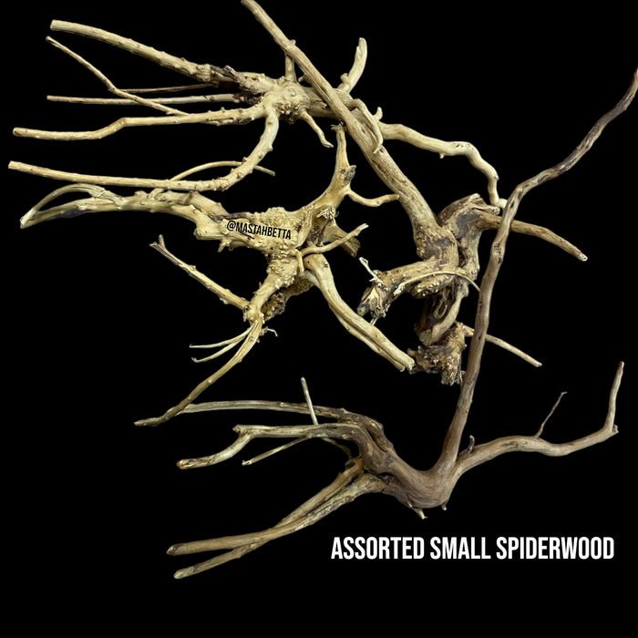 Assorted Small Spiderwood
