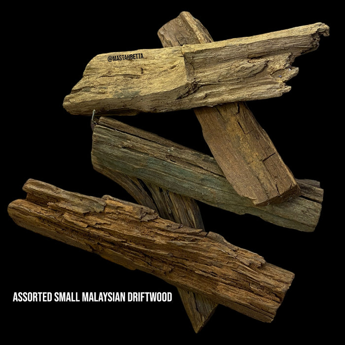 Small Malaysian Driftwood