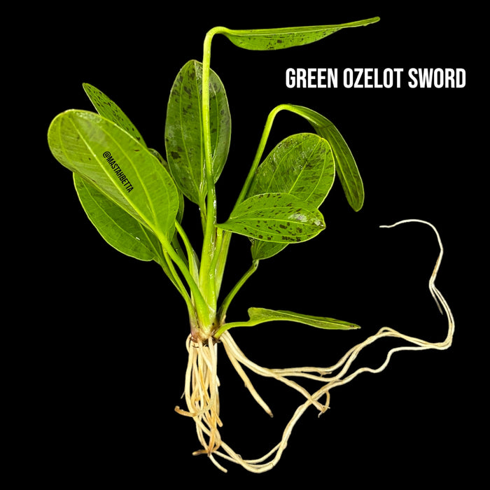 Green Ozelot Sword