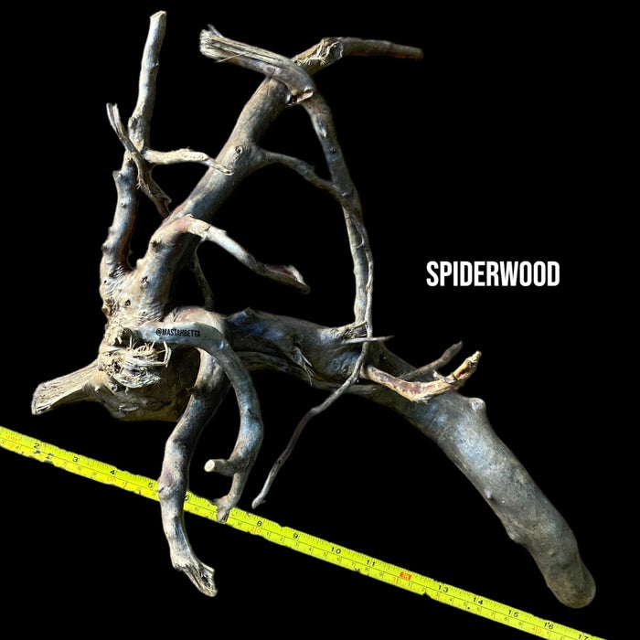 Large Spiderwood #6