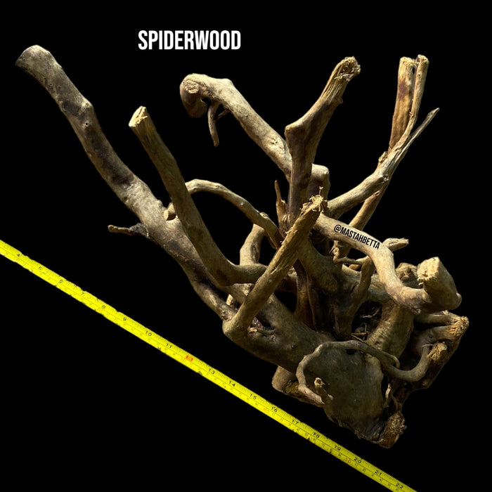 Large Spiderwood #4